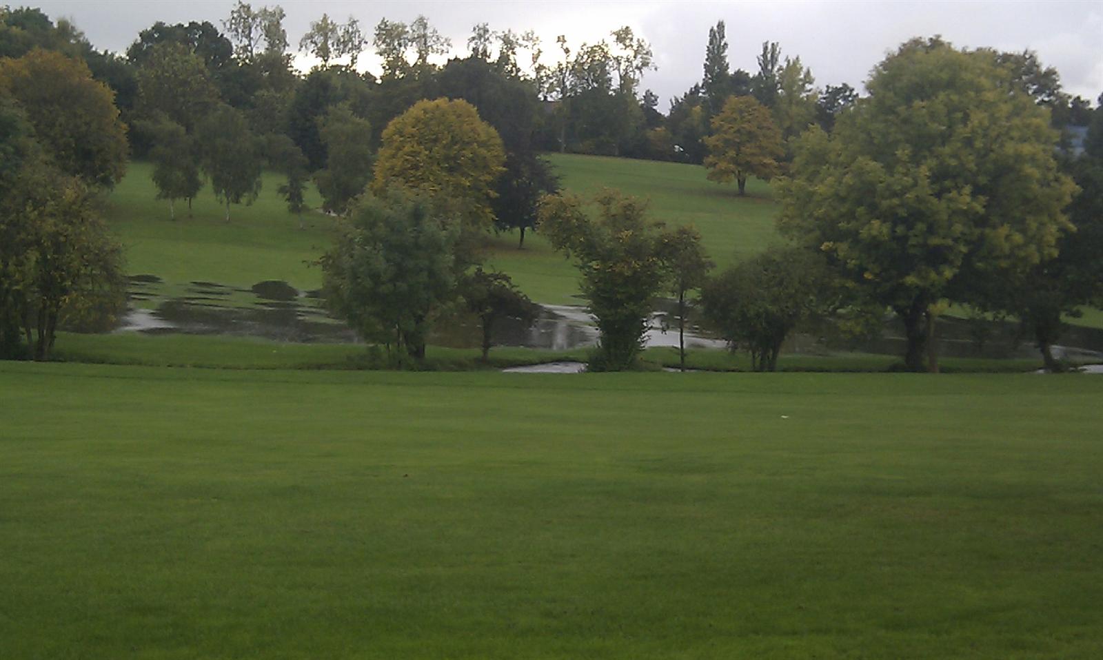 Trees on the former Potters Bar Golf Course site