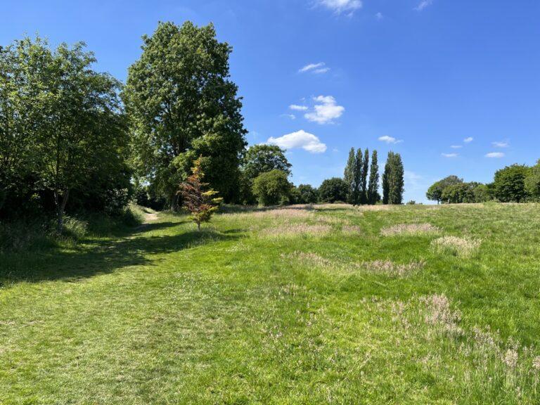 Sunlit fairway on the former Potters Bar Golf Course